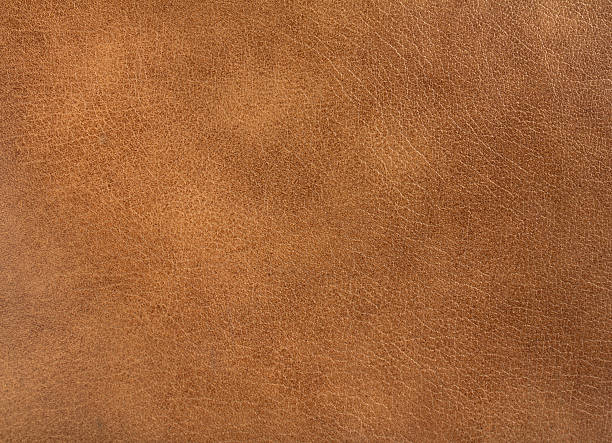 istockphoto 537284406 612x612